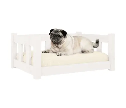 Suņu Gulta, Balta, 65,5X50,5X28 Cm, Priedes Masīvkoks Vidaxl