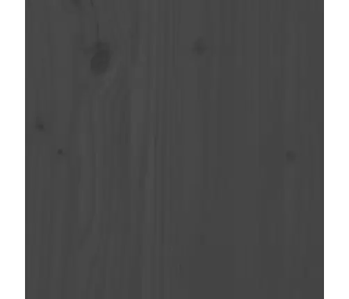 Päevavoodi, Hall, Männipuit, 80 X 200 Cm