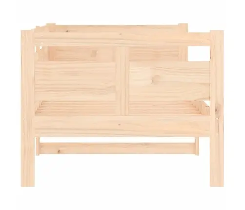 Dīvāngulta, Priedes Masīvkoks, 80X200 Cm Vidaxl