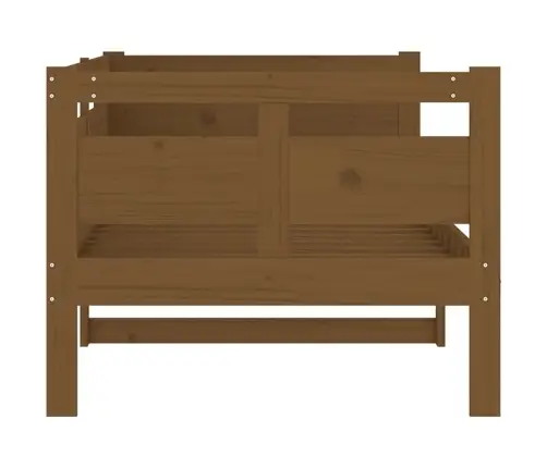 Dīvāngulta, Medus Brūna, Priedes Masīvkoks, 80X200 Cm Vidaxl