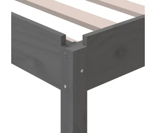 Virnastatav Voodi, Hall, 75 X 190 cm Männipuit