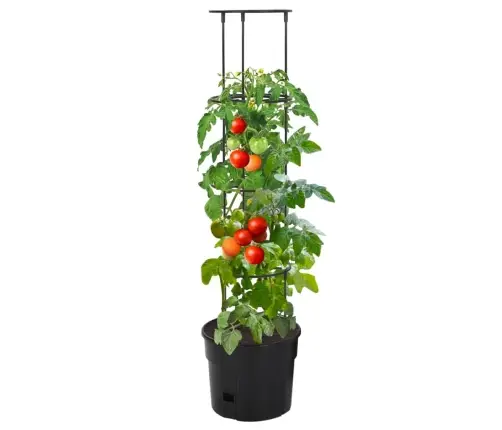 Pods Tomātu Audzēšanai, Ø29,5X115 Cm, Pelēks, Polipropilēns Vidaxl