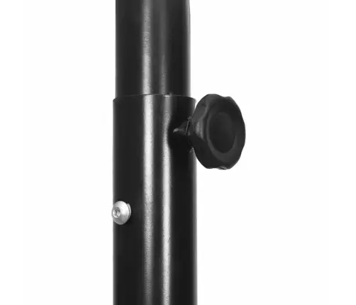 Korvpallilaud Jalaga, Läbipaistev, 280-350 cm Polükarbonaat