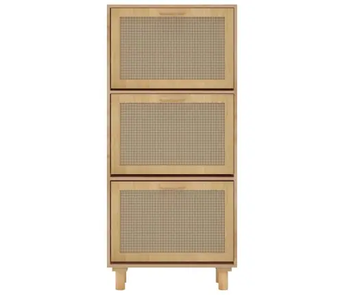 Apavu Skapītis, Brūns, 52X25X115 Cm, Inženierijas Koks Vidaxl