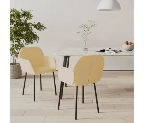 Valgomojo Kėdės, 2Vnt., Kreminės Spalvos, Aksomas