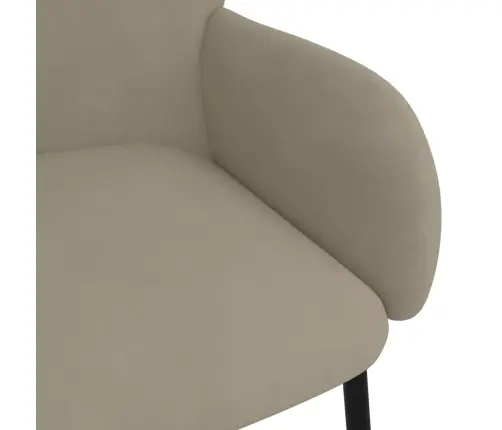 Virtuves Krēsli, 2 Gab., Gaiši Pelēks Samts Vidaxl