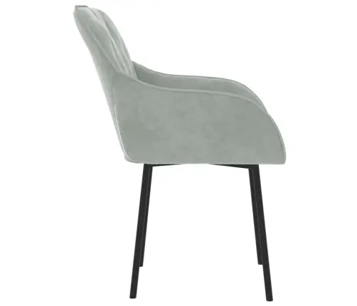 Valgomojo Kėdės, 2Vnt., Šviesiai Pilkos Spalvos, Aksomas