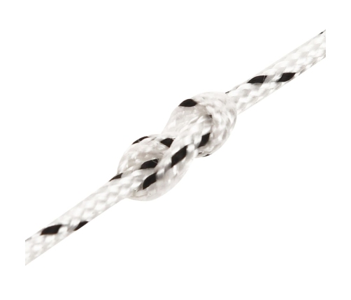 Pīta Laivu Virve, Balta, 2Mm, 250 M, Poliesters Vidaxl