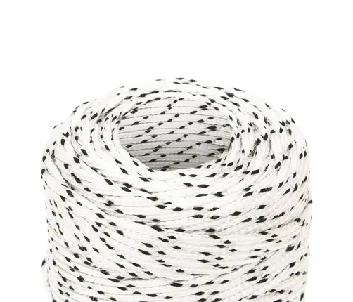 Pīta Laivu Virve, Balta, 2 Mm, 500 M, Poliesters Vidaxl