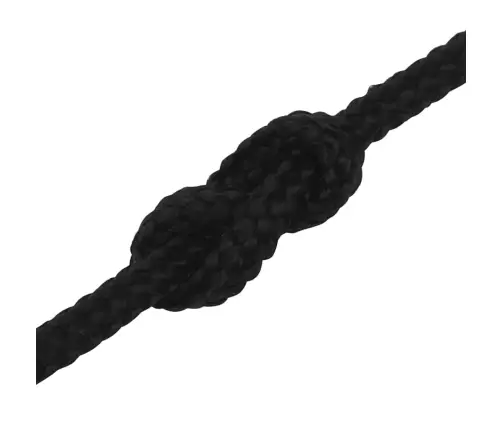 Darba Virve, Melna, 2 Mm, 50 M, Poliesters Vidaxl