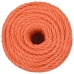 Darba Virve, Oranža, 10 Mm, 25 M, Polipropilēns Vidaxl