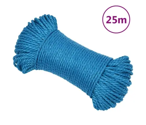 Darba Virve, Zila, 3 Mm, 25 M, Polipropilēns Vidaxl