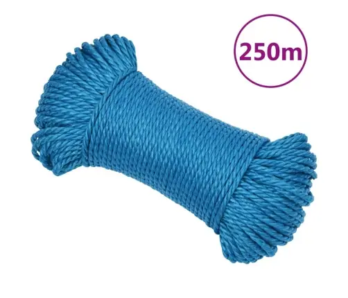 Darba Virve, Zila, 3 Mm, 250 M, Polipropilēns Vidaxl