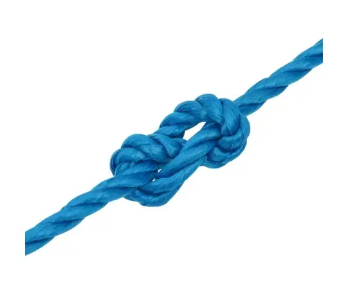 Darba Virve, Zila, 10 Mm, 25 M, Polipropilēns Vidaxl