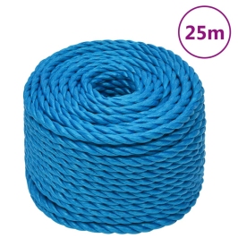 Darba Virve, Zila, 12 Mm, 25 M, Polipropilēns Vidaxl