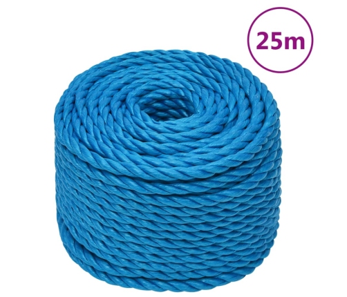 Darba Virve, Zila, 14 Mm, 25 M, Polipropilēns Vidaxl
