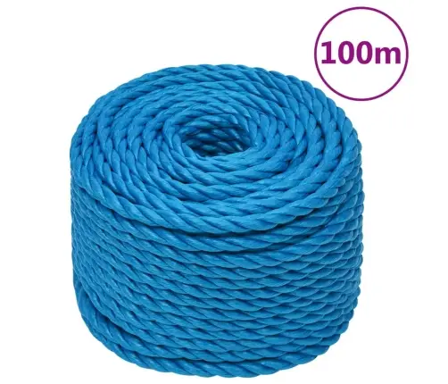 Darba Virve, Zila, Zila, 20 Mm, 100 M, Polipropilēns Vidaxl