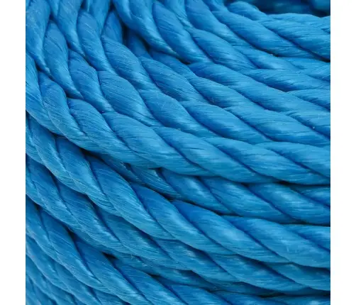 Darba Virve, Zila, 24 Mm, 50 M, Polipropilēns Vidaxl