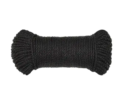 Darba Virve, Melna, 6 Mm, 100 M, Polipropilēns Vidaxl
