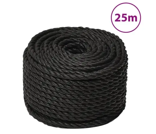 Darba Virve, Melna, 10 Mm, 25 M, Polipropilēns Vidaxl