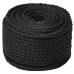 Darba Virve, Melna, 10 Mm, 25 M, Polipropilēns Vidaxl