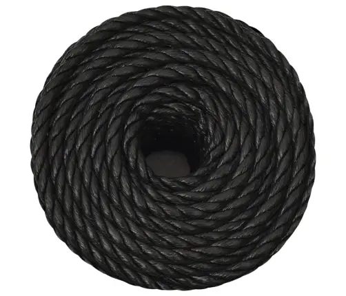 Darba Virve, Melna, 10 Mm, 25 M, Polipropilēns Vidaxl