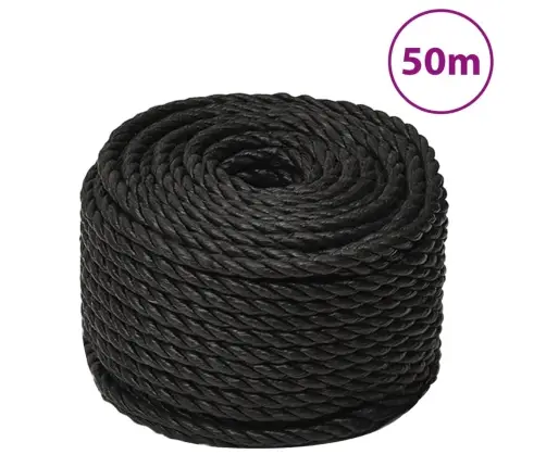 Darba Virve, Melna, 10 Mm, 50 M, Polipropilēns Vidaxl