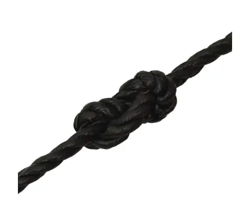 Darba Virve, Melna, 10 Mm, 50 M, Polipropilēns Vidaxl