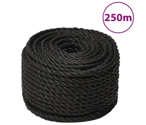 Darba Virve, Melna, 12 Mm, 250 M, Polipropilēns Vidaxl