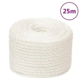 Darba Virve, Balta,10 Mm, 25 M, Polipropilēns Vidaxl