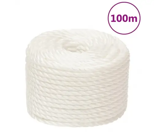 Darba Virve, Balta, 20 Mm, 100 M, Polipropilēns Vidaxl
