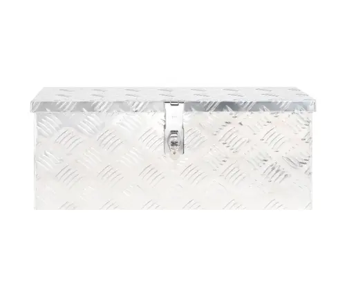 Daiktadėžė, Sidabrinės Spalvos, 60X23,5X23cm Aliuminis