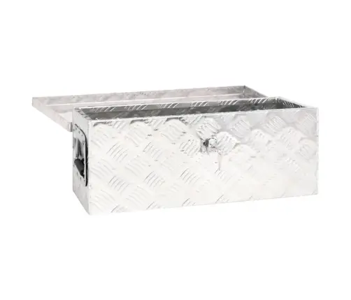 Daiktadėžė, Sidabrinės Spalvos, 60X23,5X23cm Aliuminis