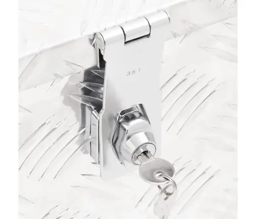 Daiktadėžė, Sidabrinės Spalvos, 60X23,5X23cm Aliuminis