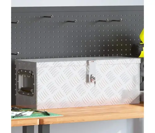 Daiktadėžė, Sidabrinės Spalvos, 60X23,5X23cm Aliuminis