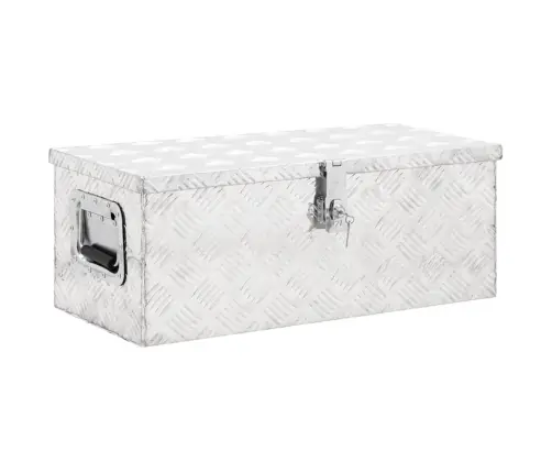 Daiktadėžė, Sidabrinės Spalvos, 70X31X27cm Aliuminis