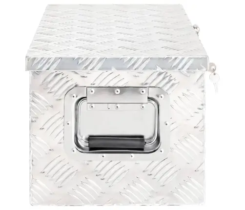 Daiktadėžė, Sidabrinės Spalvos, 70X31X27cm Aliuminis