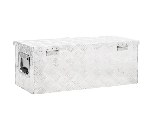 Daiktadėžė, Sidabrinės Spalvos, 70X31X27cm Aliuminis