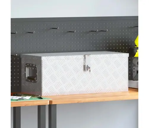 Daiktadėžė, Sidabrinės Spalvos, 70X31X27cm Aliuminis