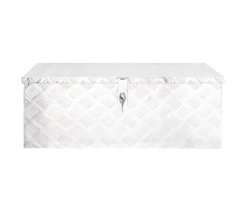 Daiktadėžė, Sidabrinės Spalvos, 80X39X30cm Aliuminis