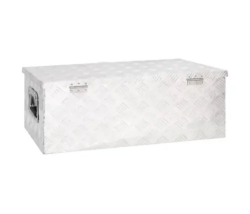 Daiktadėžė, Sidabrinės Spalvos, 80X39X30cm Aliuminis