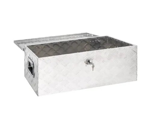 Daiktadėžė, Sidabrinės Spalvos, 80X39X30cm Aliuminis