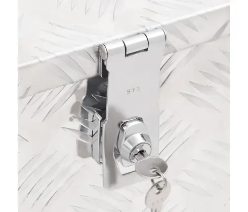 Daiktadėžė, Sidabrinės Spalvos, 80X39X30cm Aliuminis