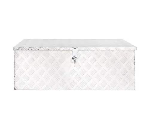 Daiktadėžė, Sidabrinės Spalvos, 90X47X33,5cm Aliuminis