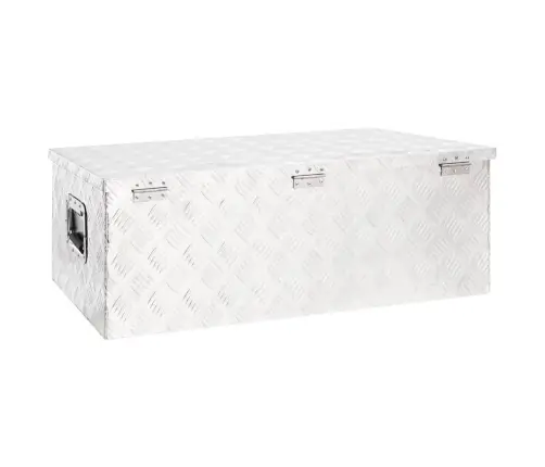 Daiktadėžė, Sidabrinės Spalvos, 90X47X33,5cm Aliuminis