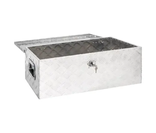 Daiktadėžė, Sidabrinės Spalvos, 90X47X33,5cm Aliuminis