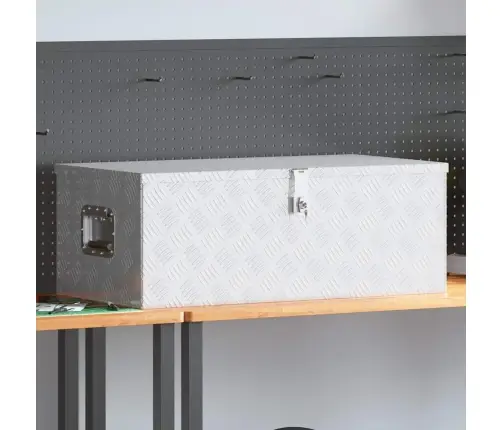 Daiktadėžė, Sidabrinės Spalvos, 90X47X33,5cm Aliuminis