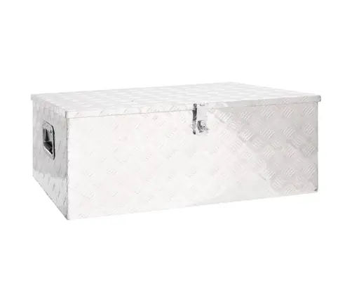 Uzglabāšanas Kaste, Sudrabaina, 100X55X37 Cm, Alumīnijs Vidaxl