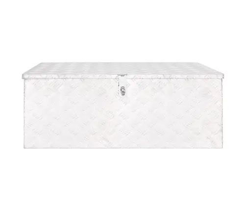 Uzglabāšanas Kaste, Sudrabaina, 100X55X37 Cm, Alumīnijs Vidaxl