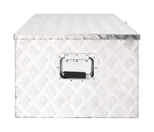 Uzglabāšanas Kaste, Sudrabaina, 100X55X37 Cm, Alumīnijs Vidaxl